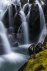 Paradise River in autumn in Mount Rainier National Park, Washington State, USA Art Print